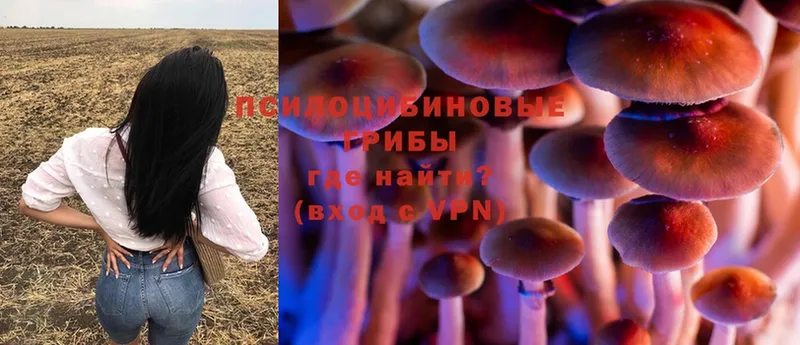 Галлюциногенные грибы MAGIC MUSHROOMS  наркотики  гидра как зайти  Красногорск 